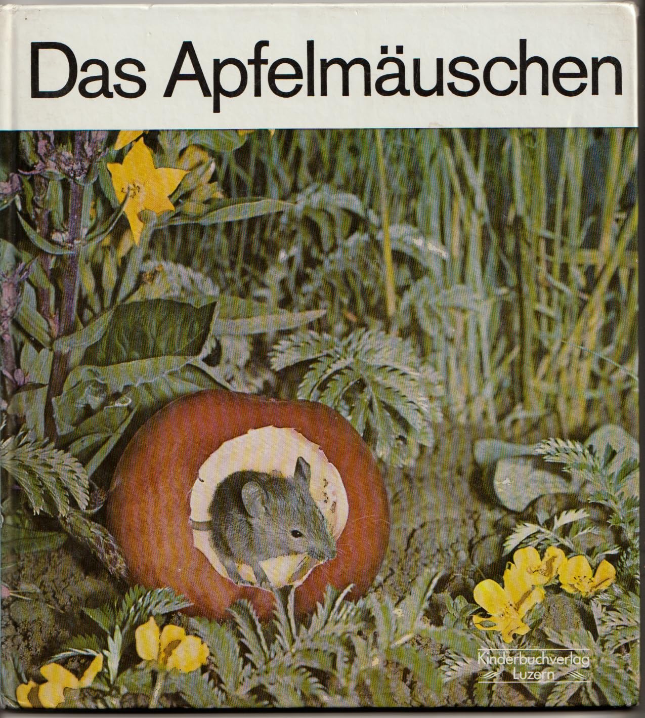 Das Apfelmäuschen Arts & Music