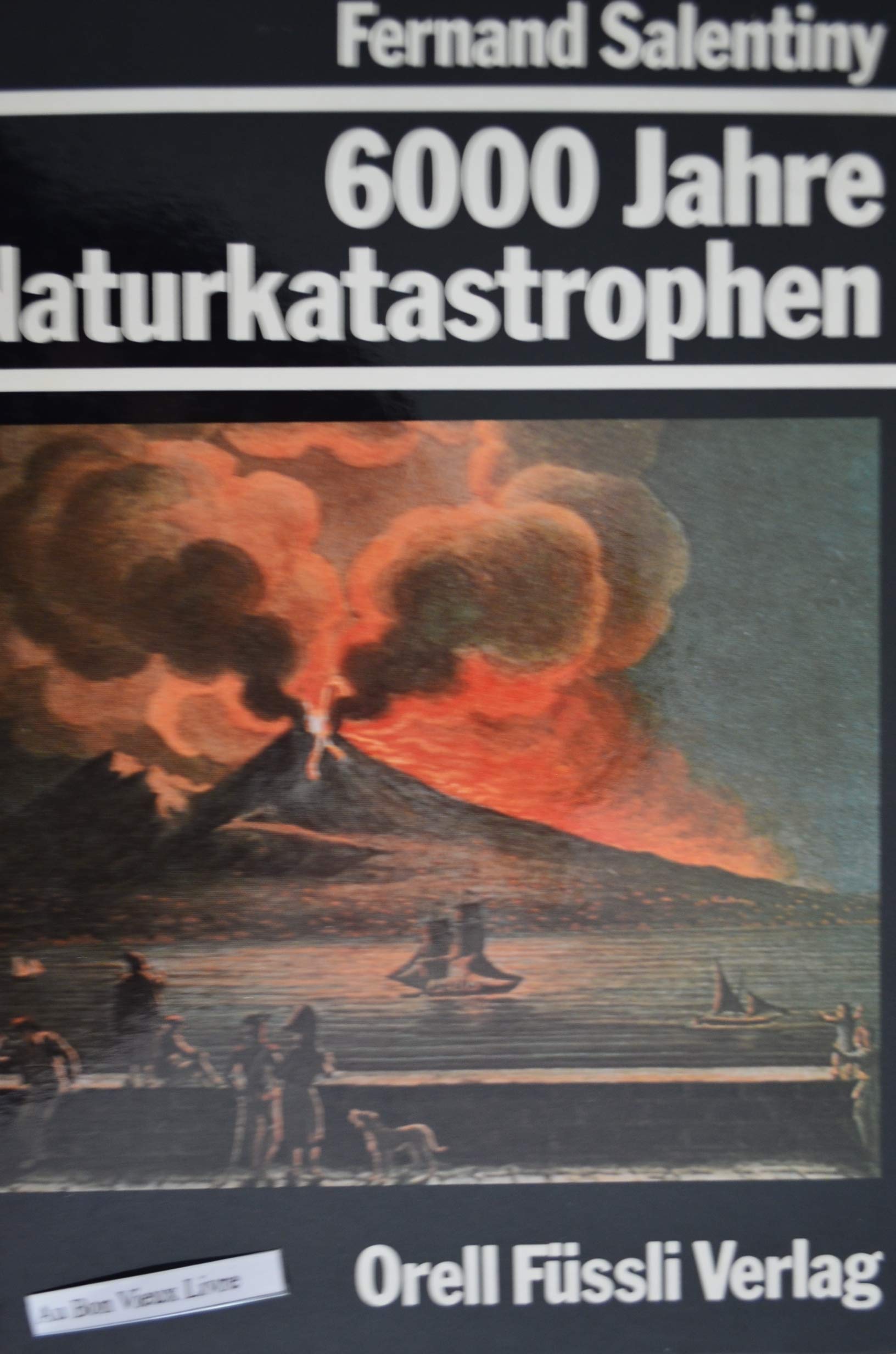 Sechstausend Jahre Naturkatastrophen Business & Technology