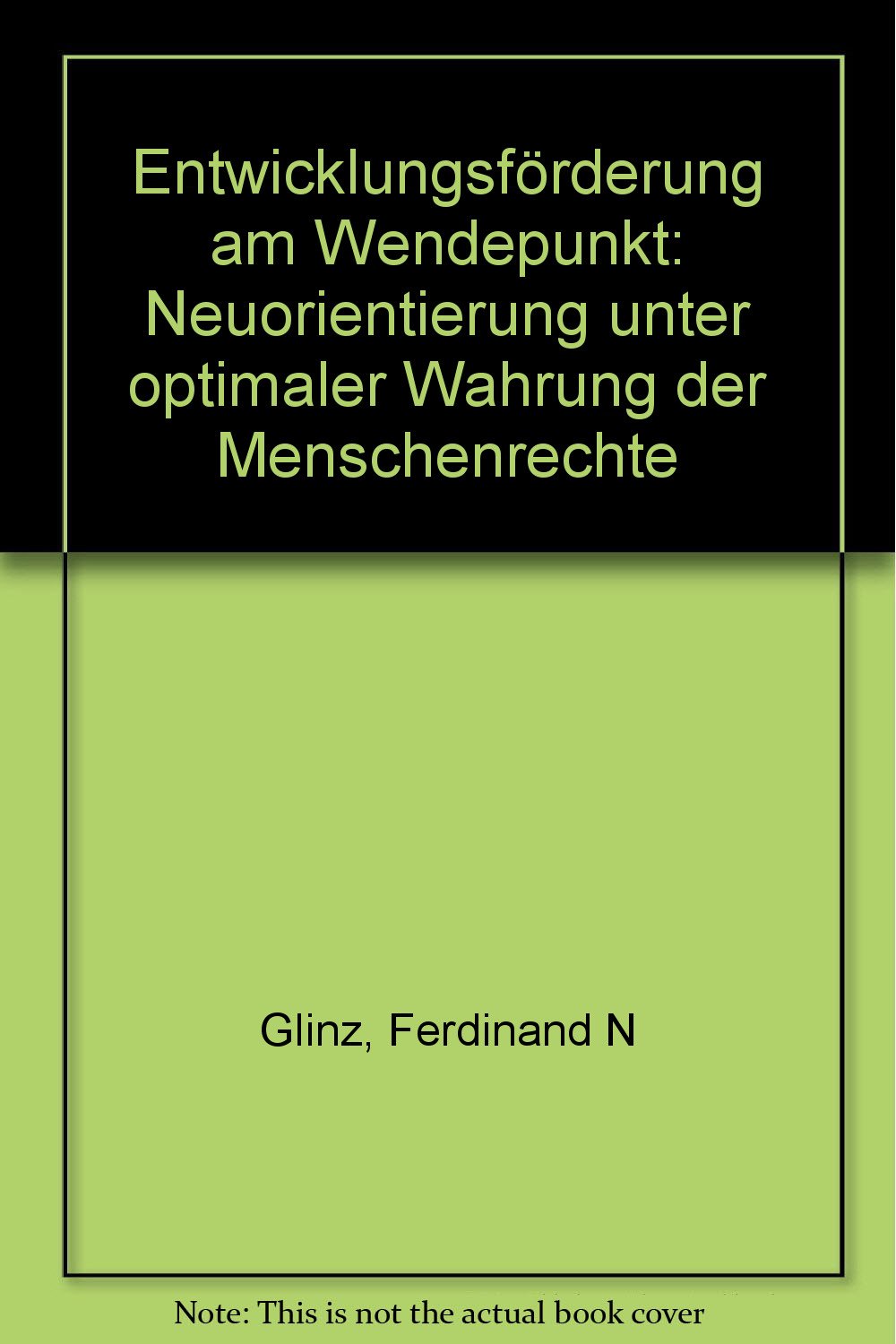 Entwicklungsförderung am Wendepunkt: Neuorientierung unter optimaler Wahrung der Menschenrechte Books