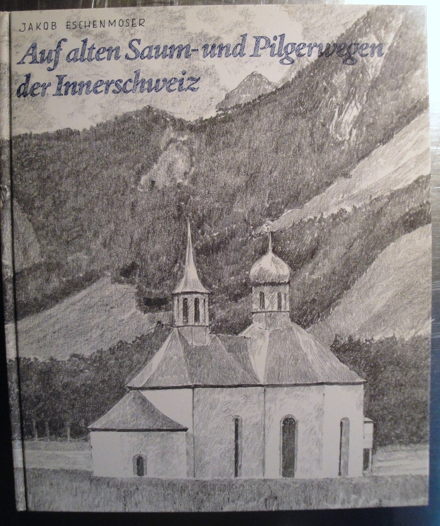 Auf alten Saum- und Pilgerpfaden der Innerschweiz Business, Finance & Career