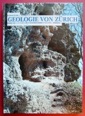 Geologie von Zürich: Von der Entstehung der Landschaft bis zum Eingriff des Menschen Books