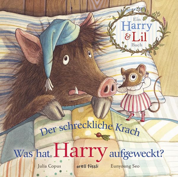 Der schreckliche Krach - Was hat Harry aufgeweckt? Non-fiction