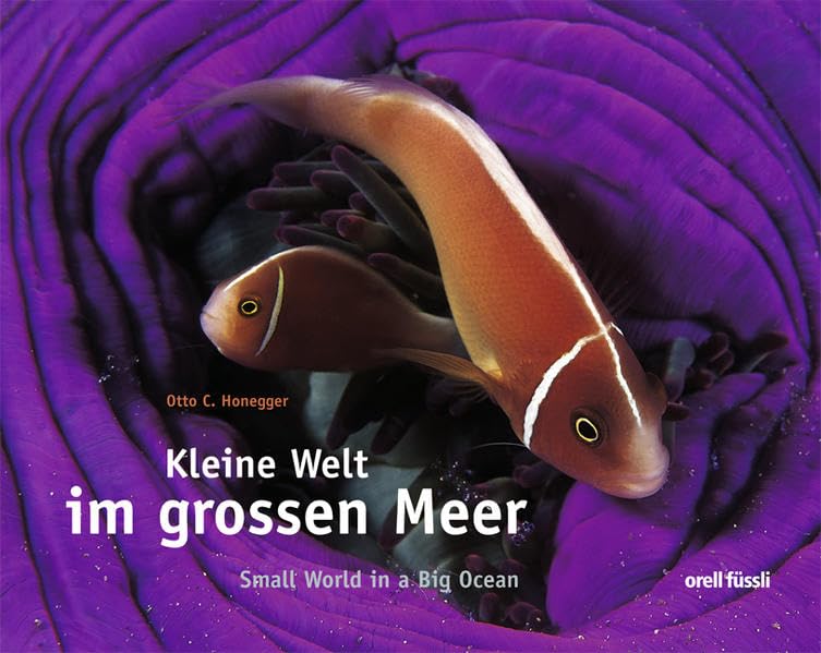 Kleine Welt im grossen Meer: Dtsch.-Engl. Film, Art & Culture
