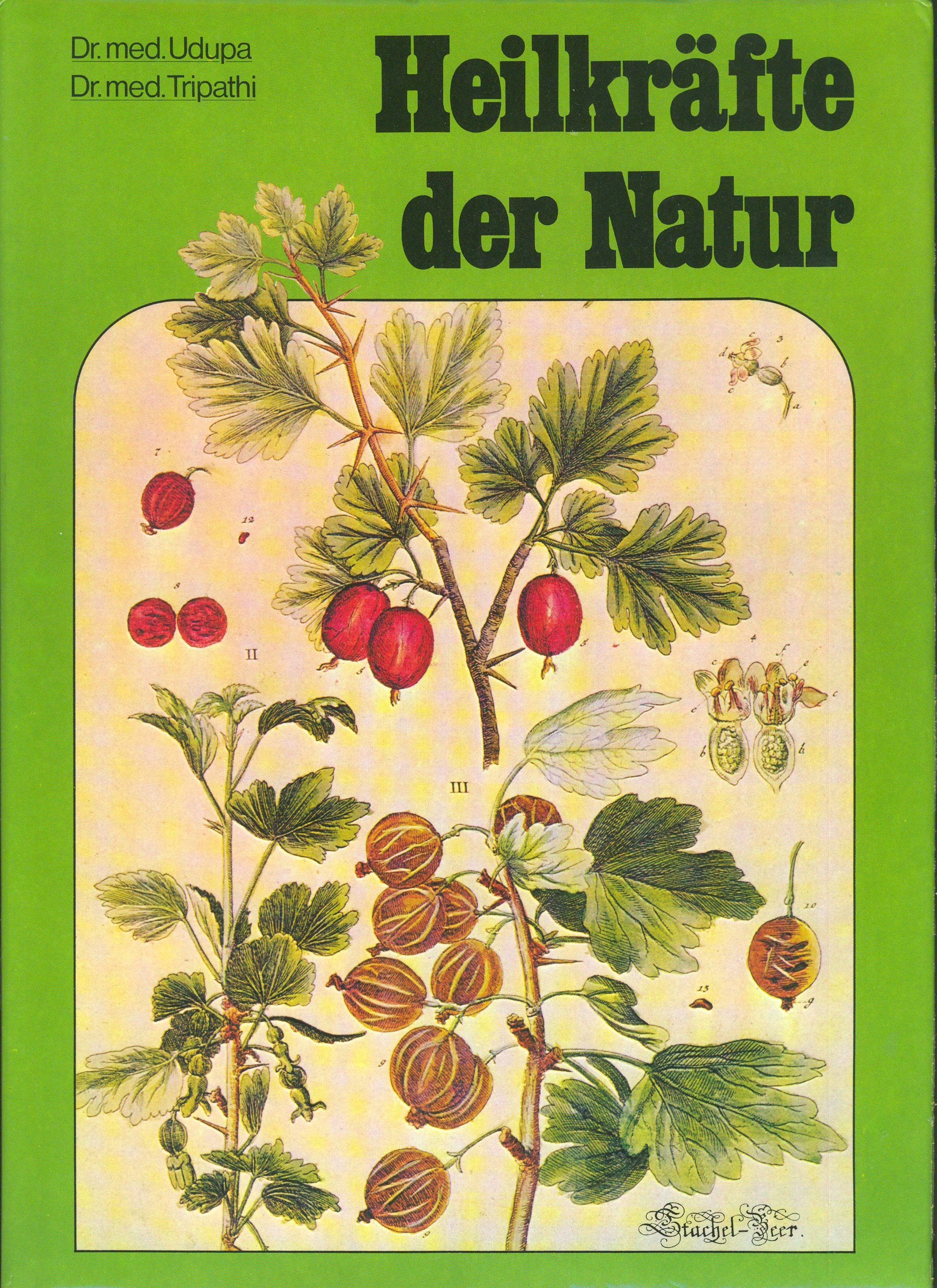 Heilkräfte der Natur - Früchte, Beeren, Gemüse, Gewürze Books