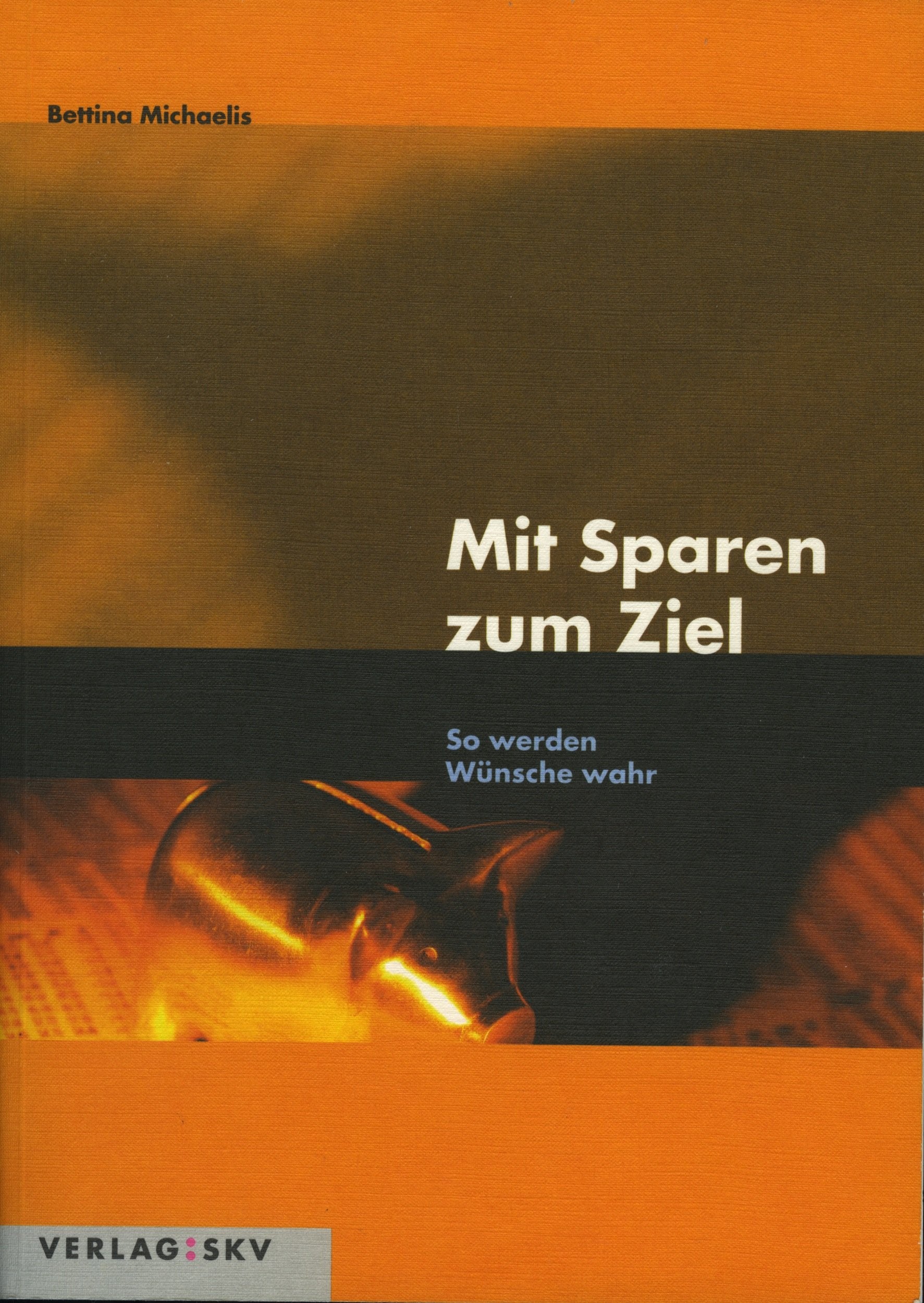 Mit Sparen zum Ziel: So werden Wünsche wahr Business, Finance & Career