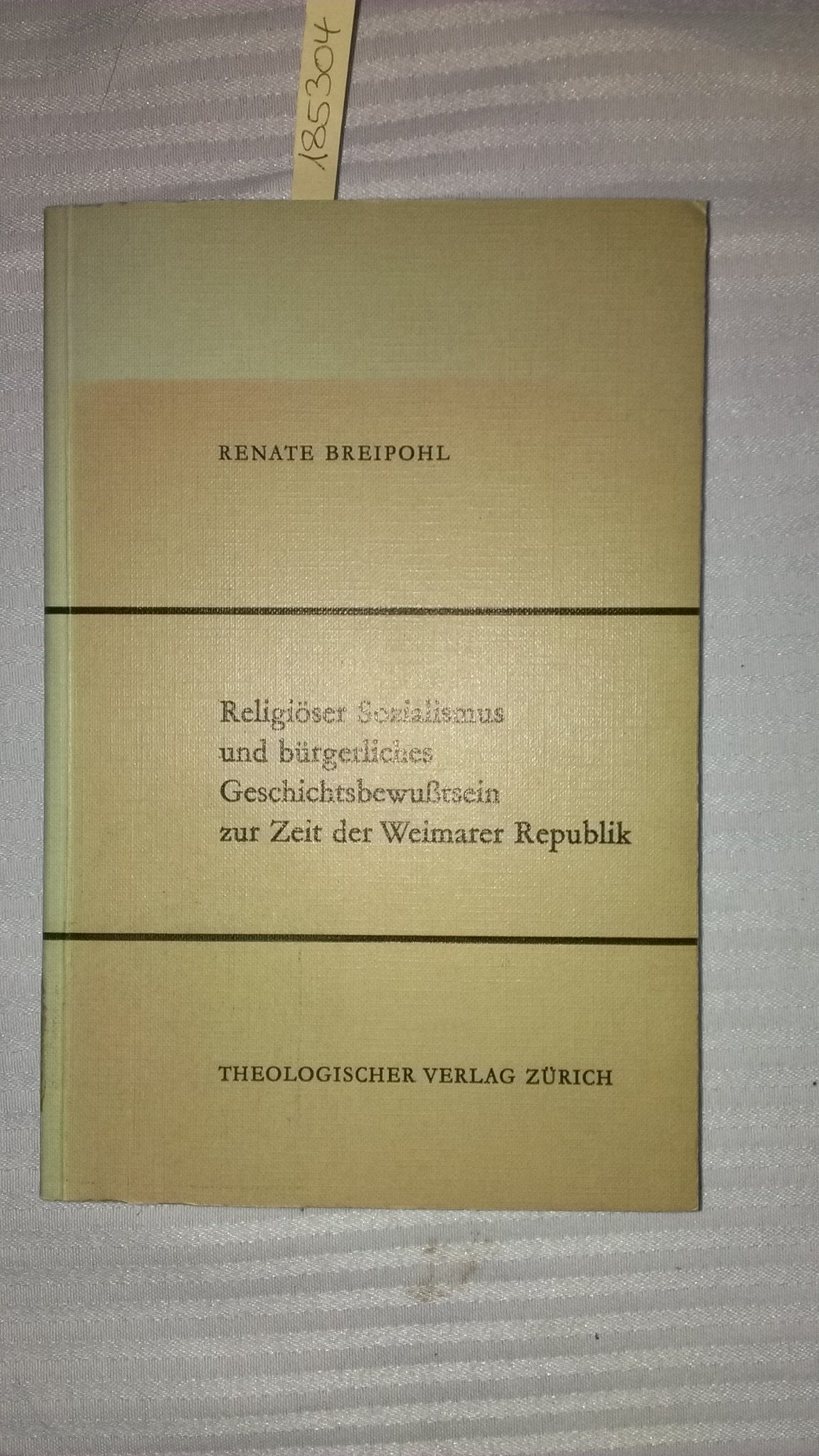 Religiöser Sozialismus und bürgerliches Geschichtsbewusstsein zur Zeit der Weimarer Republik Books