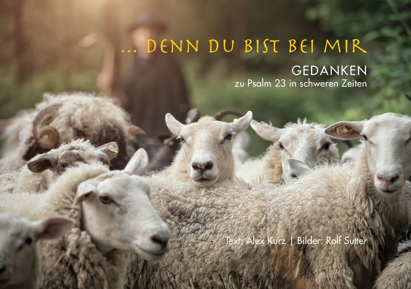 Product Image: ... denn du bist bei mir