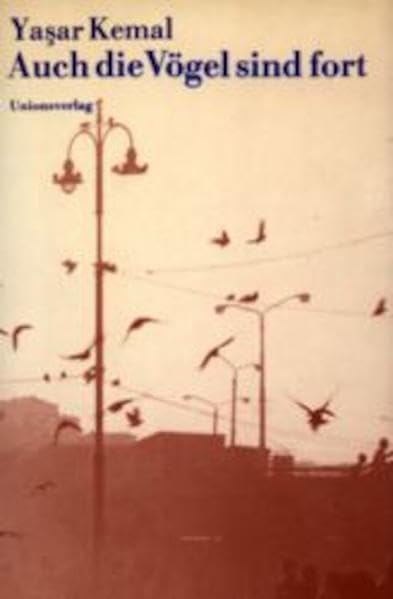 Auch die Vögel sind fort: Roman Contemporary literature