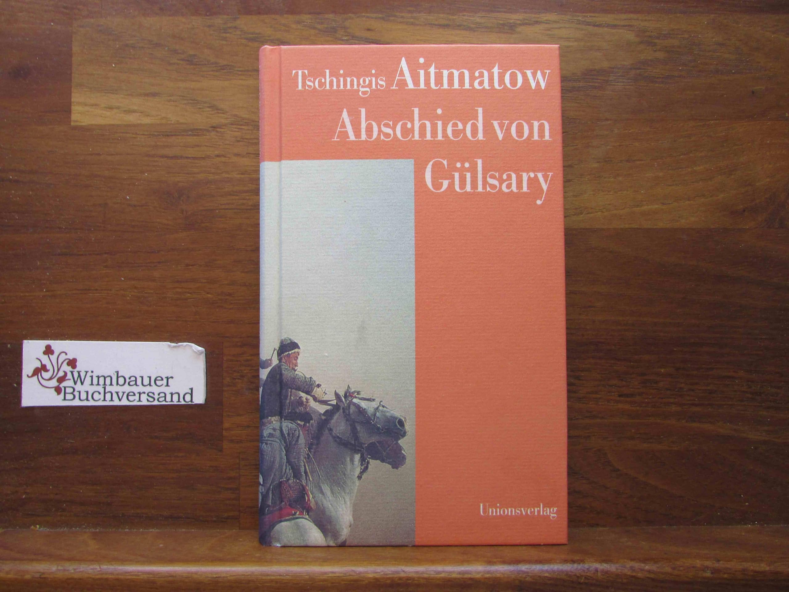 Abschied von Gülsary: Roman Social Sciences