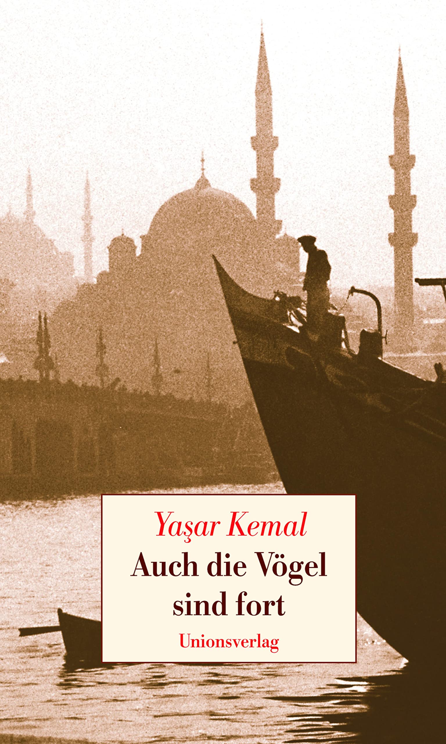 Auch die Vögel sind fort book