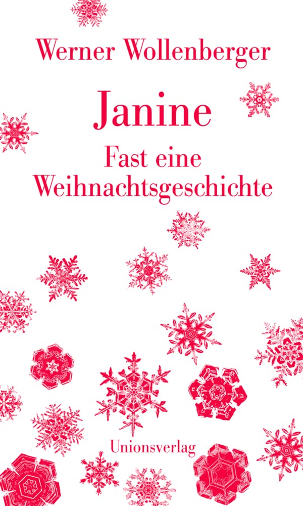 Janine – Fast eine Weihnachtsgeschichte Contemporary literature Books