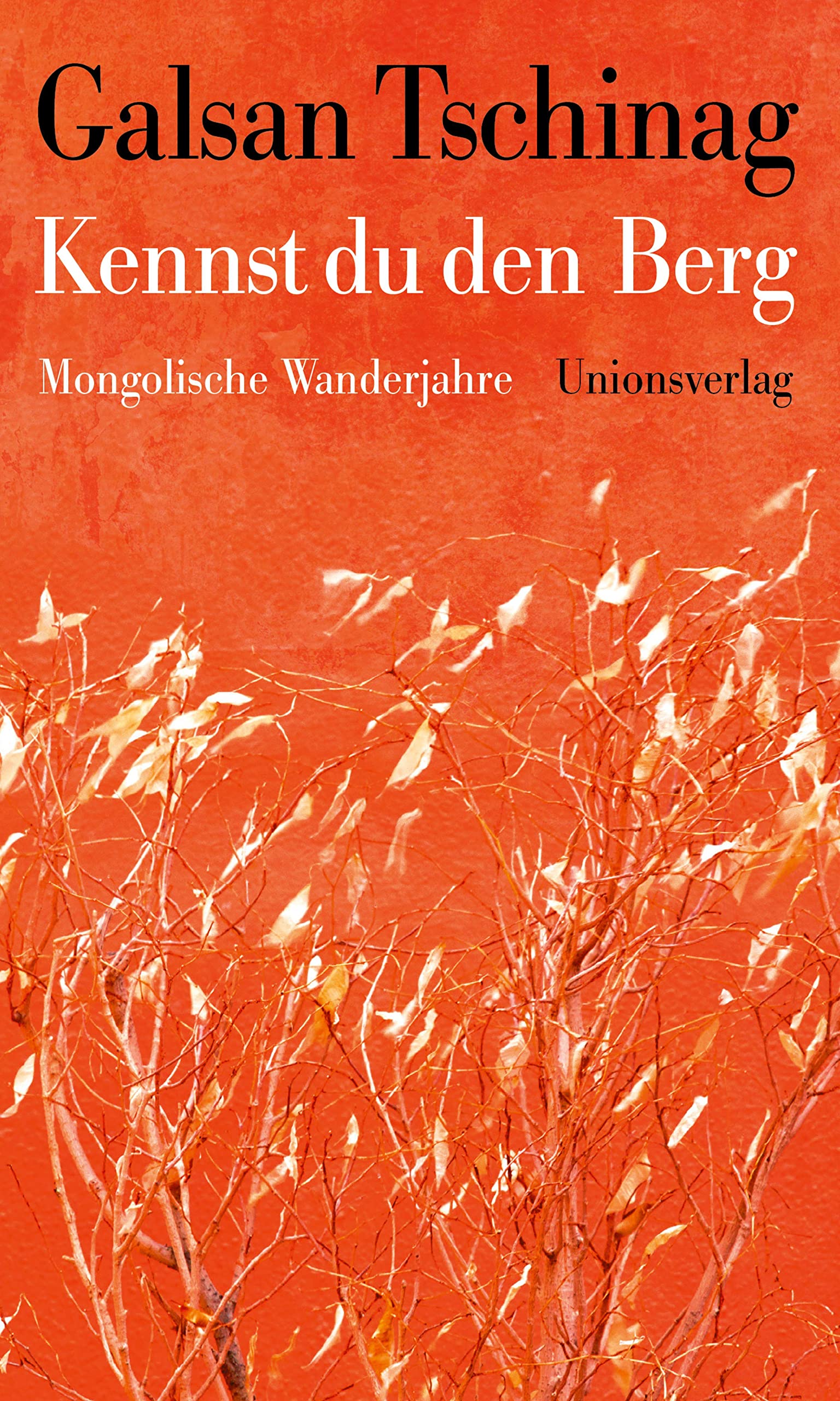 Kennst du den Berg Contemporary literature