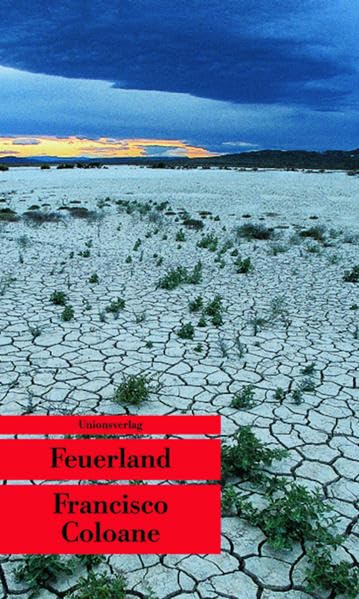 Feuerland: Erzählungen (Unionsverlag Taschenbücher) Essays & Short Stories