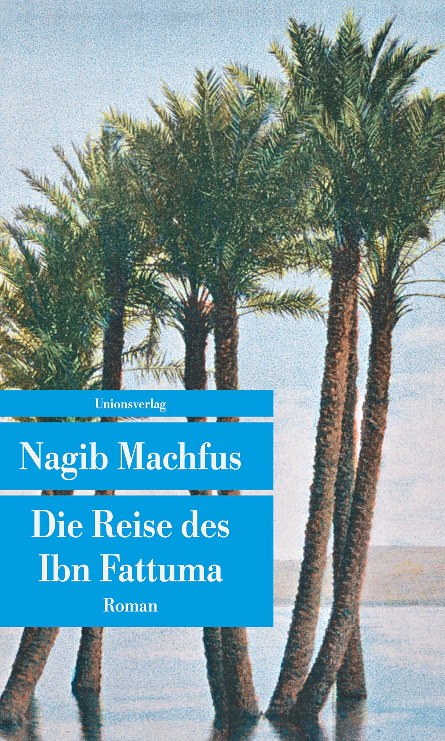 Die Reise des Ibn Fattuma Contemporary literature