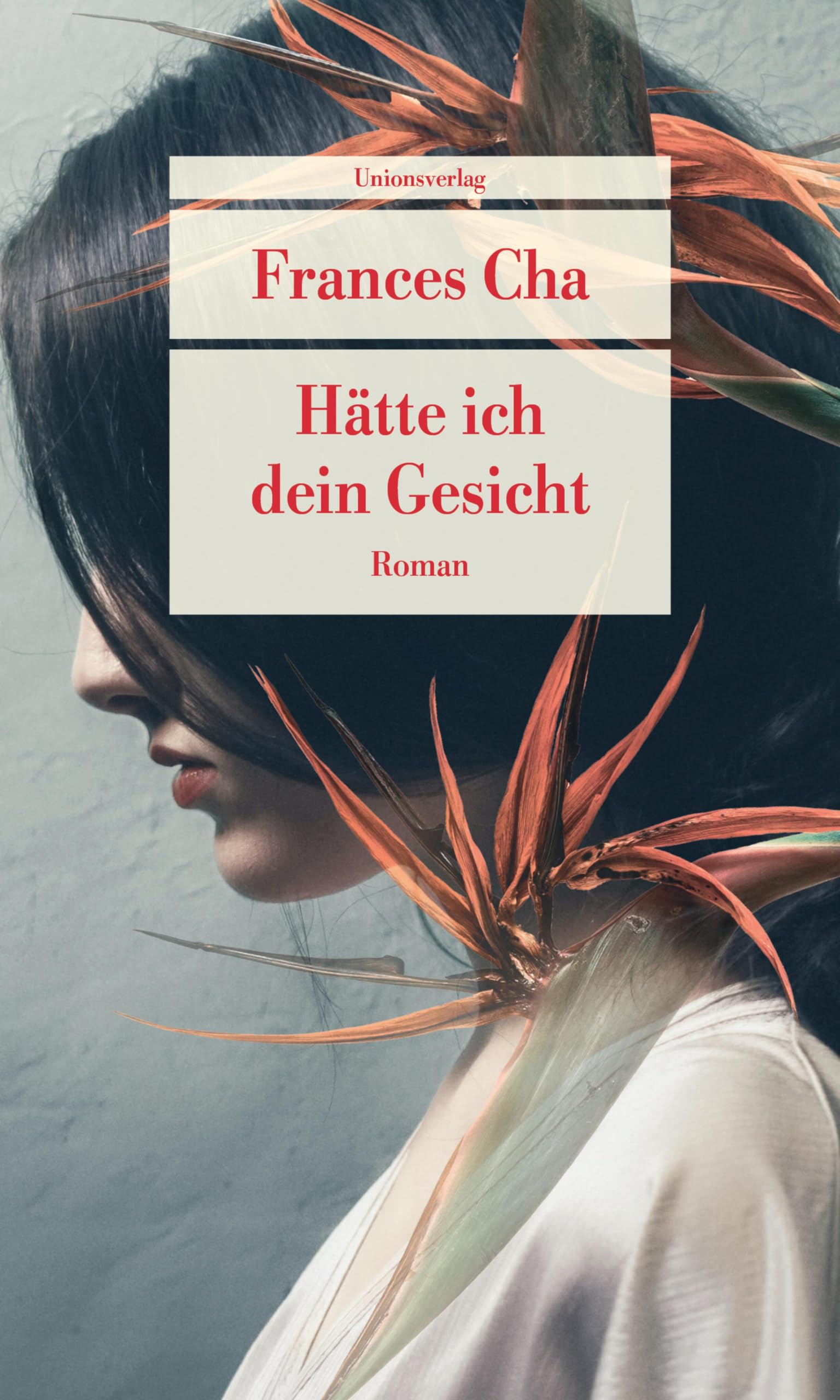 Hätte ich dein Gesicht Medicine Books
