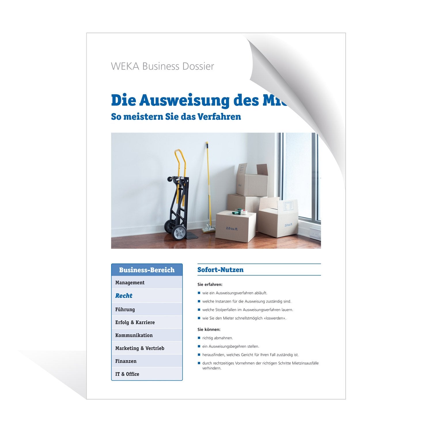 Die Ausweisung des Mieters: So meistern Sie das Verfahren Law