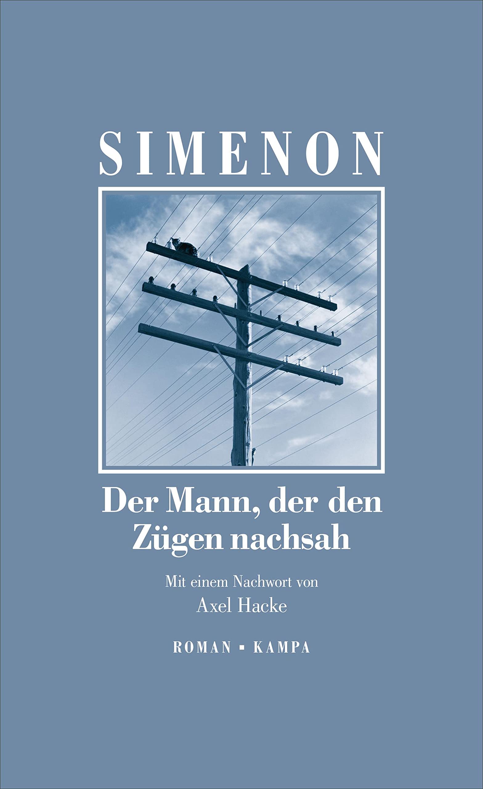 Der Mann, der den Zügen nachsah Contemporary literature