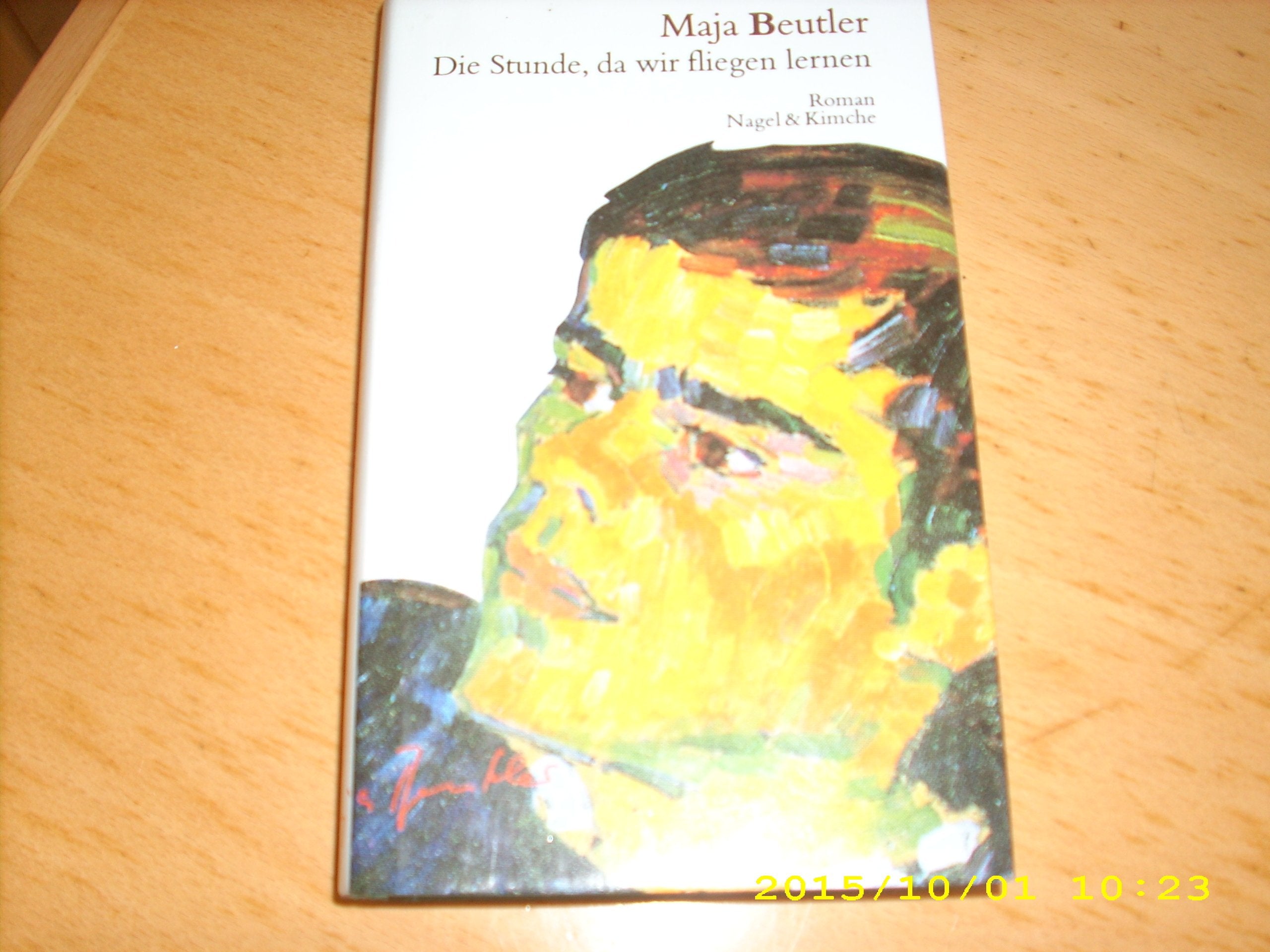 Die Stunde, da wir fliegen lernen: Roman Contemporary literature
