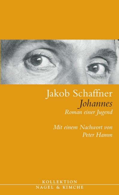 Johannes Historical Fiction