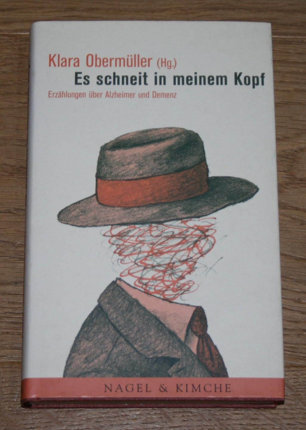 Es schneit in meinem Kopf: Erzählungen über Alzheimer und Demenz Contemporary literature