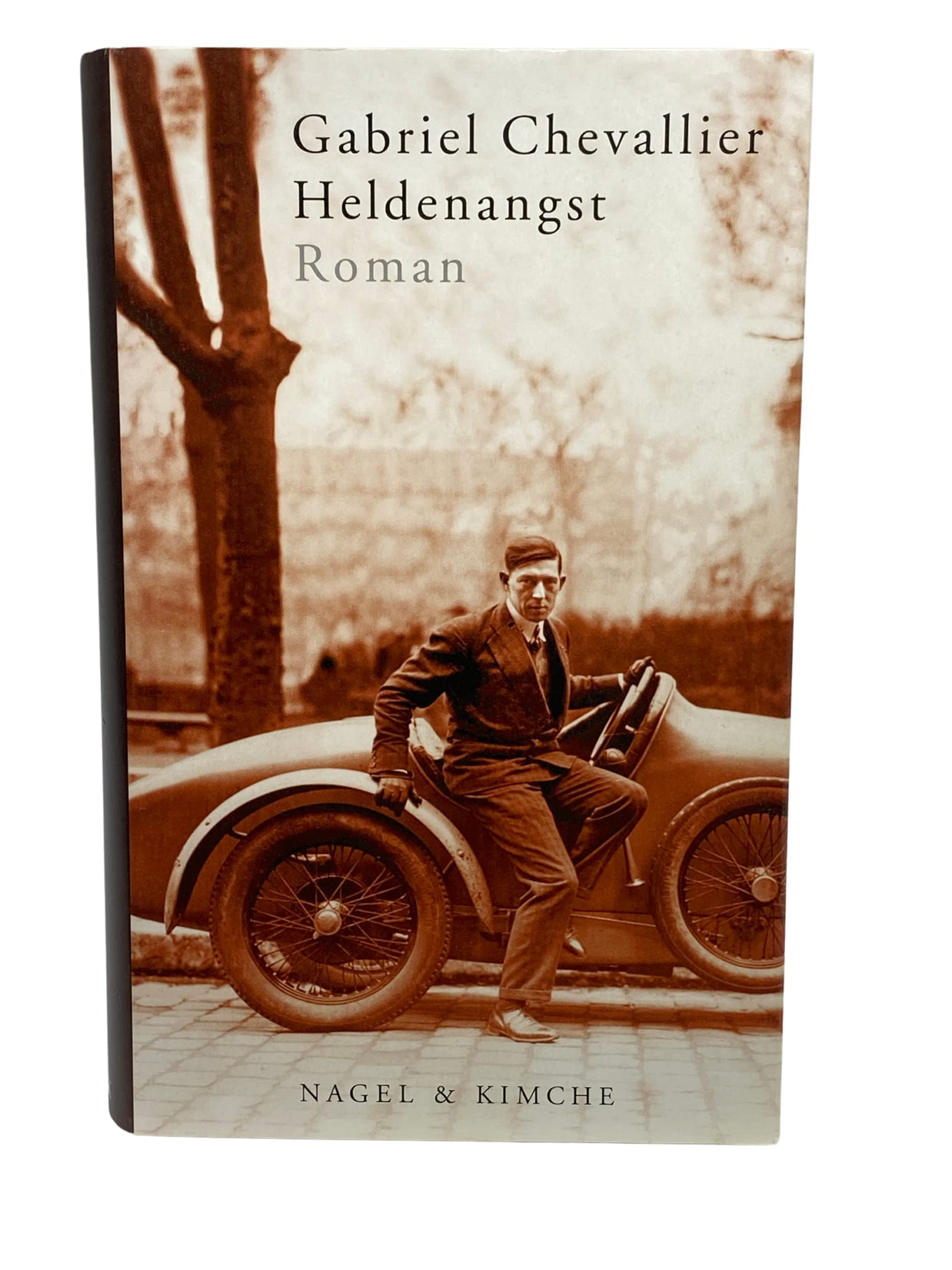 Heldenangst: Roman Contemporary literature Books