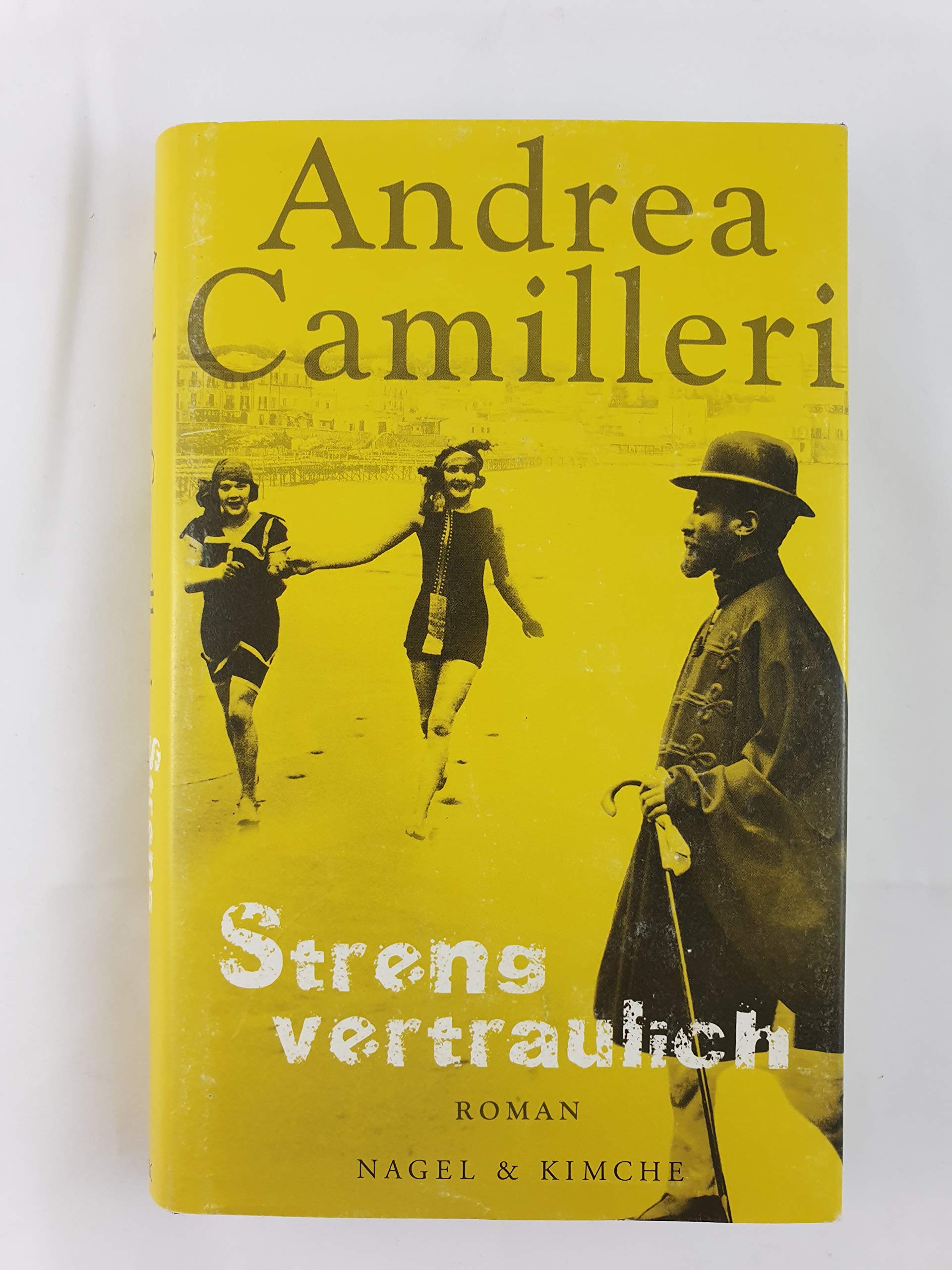 Streng vertraulich: Roman Contemporary literature