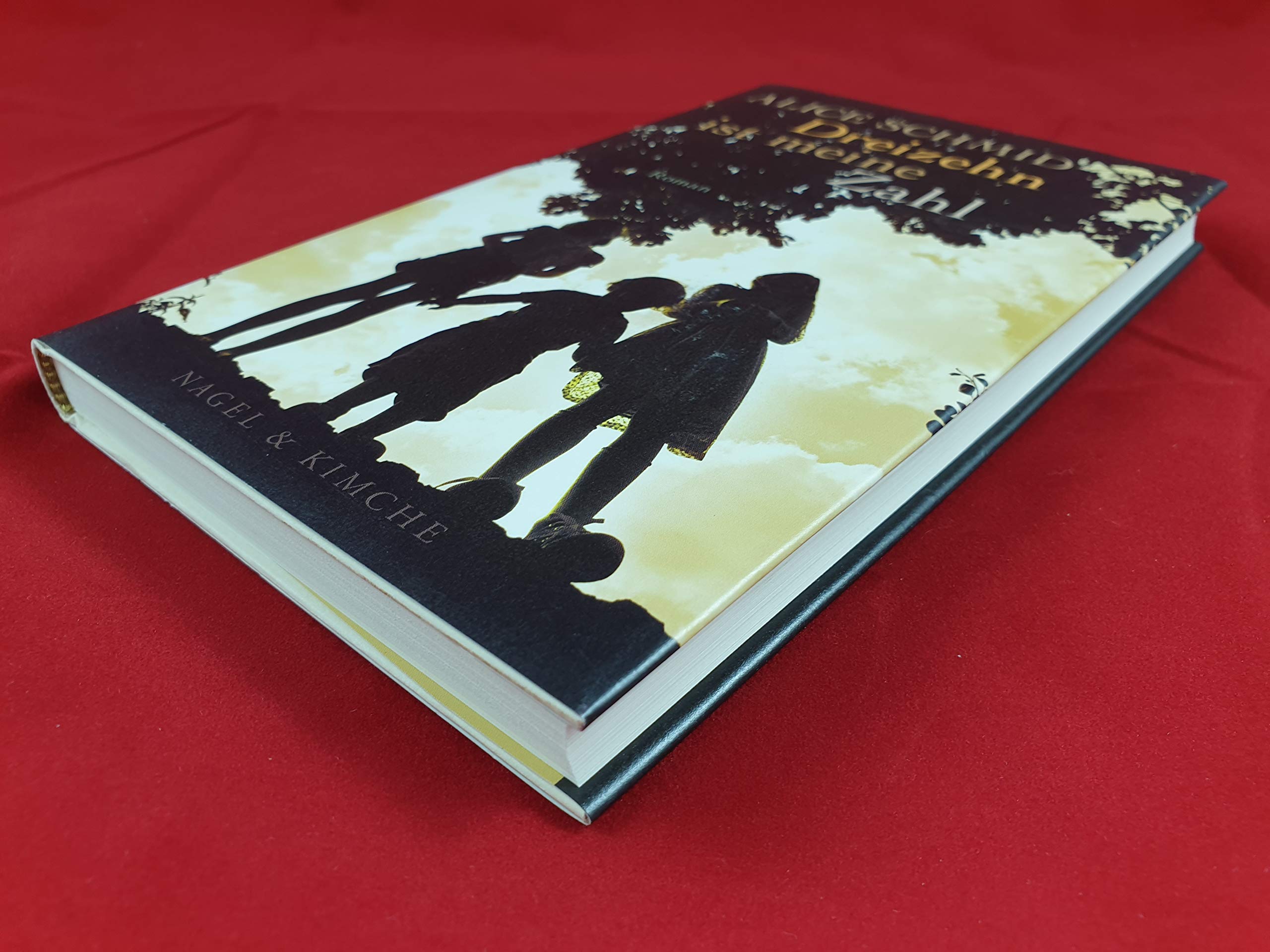 Dreizehn ist meine Zahl Contemporary literature