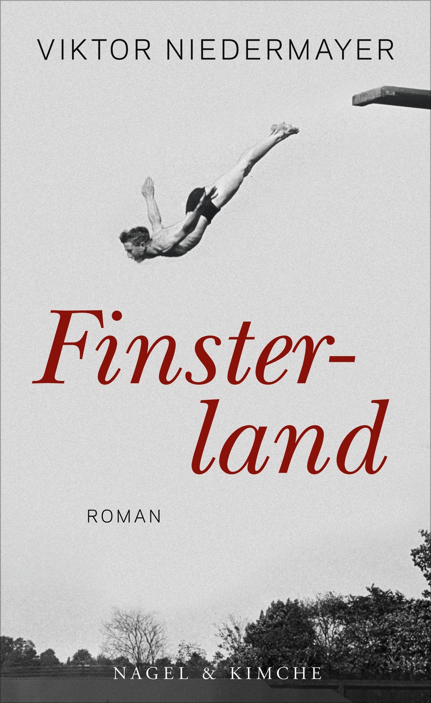 Finsterland Contemporary literature Books