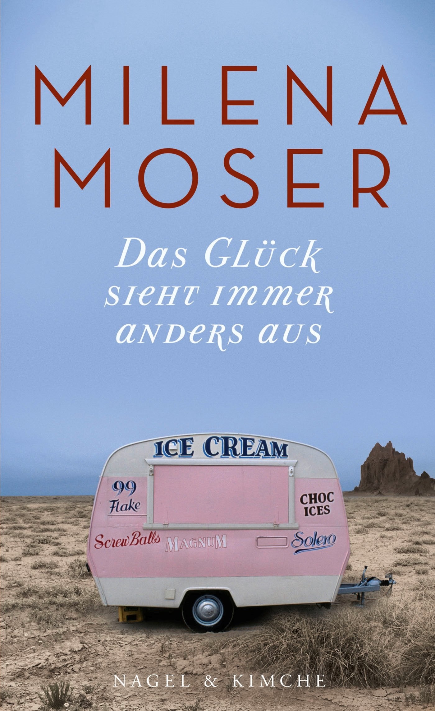Das Glück sieht immer anders aus Contemporary literature Books