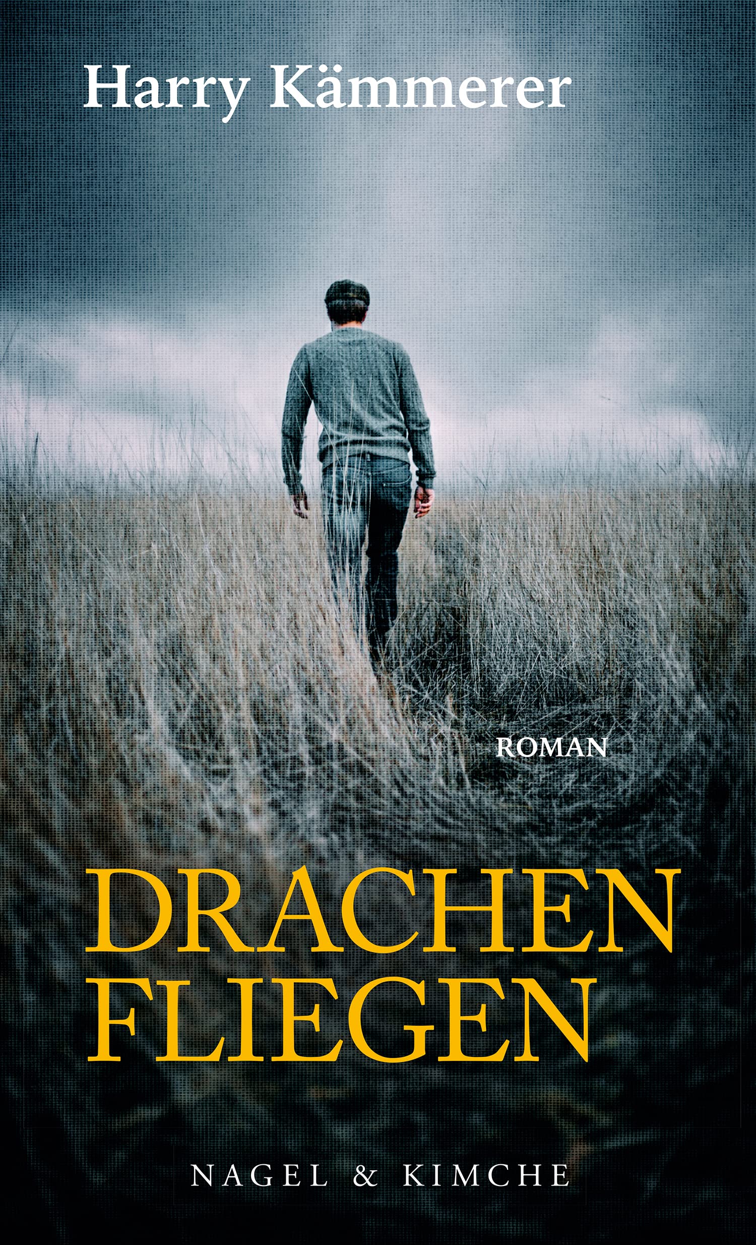 Drachenfliegen Contemporary literature Books