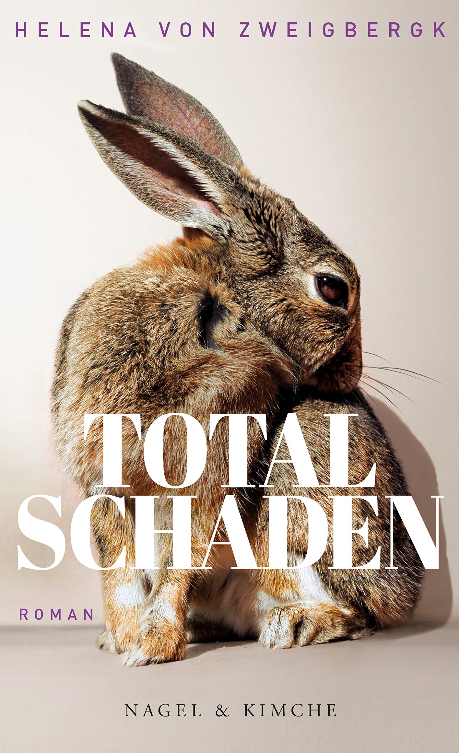 Totalschaden Contemporary literature