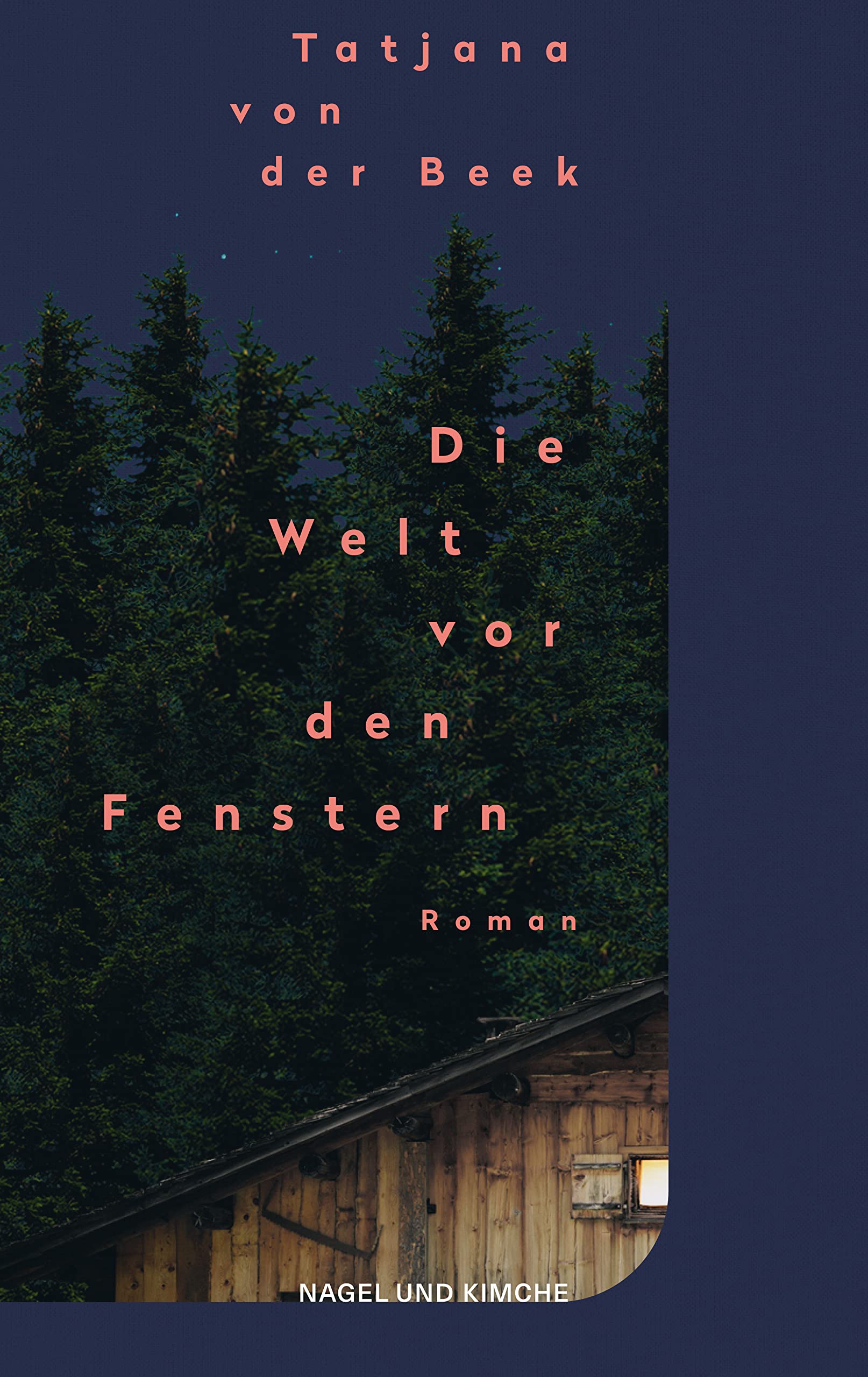 Die Welt vor den Fenstern Contemporary literature