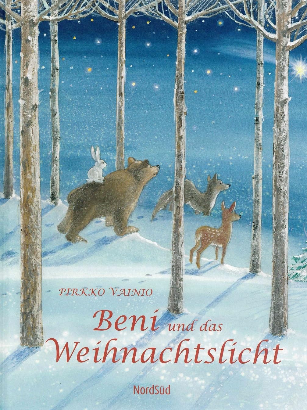 Beni und das Weihnachtslicht Children's books