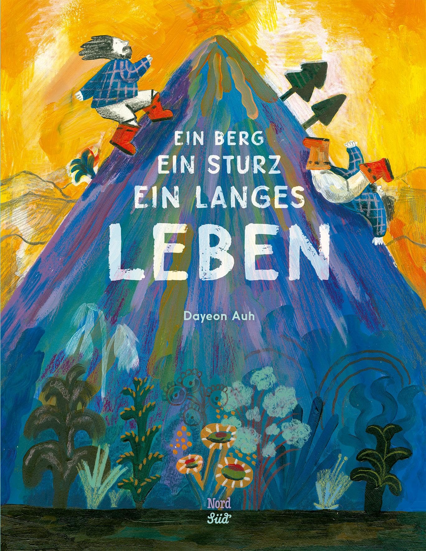 Product Image: Ein Berg, ein Sturz, ein langes Leben