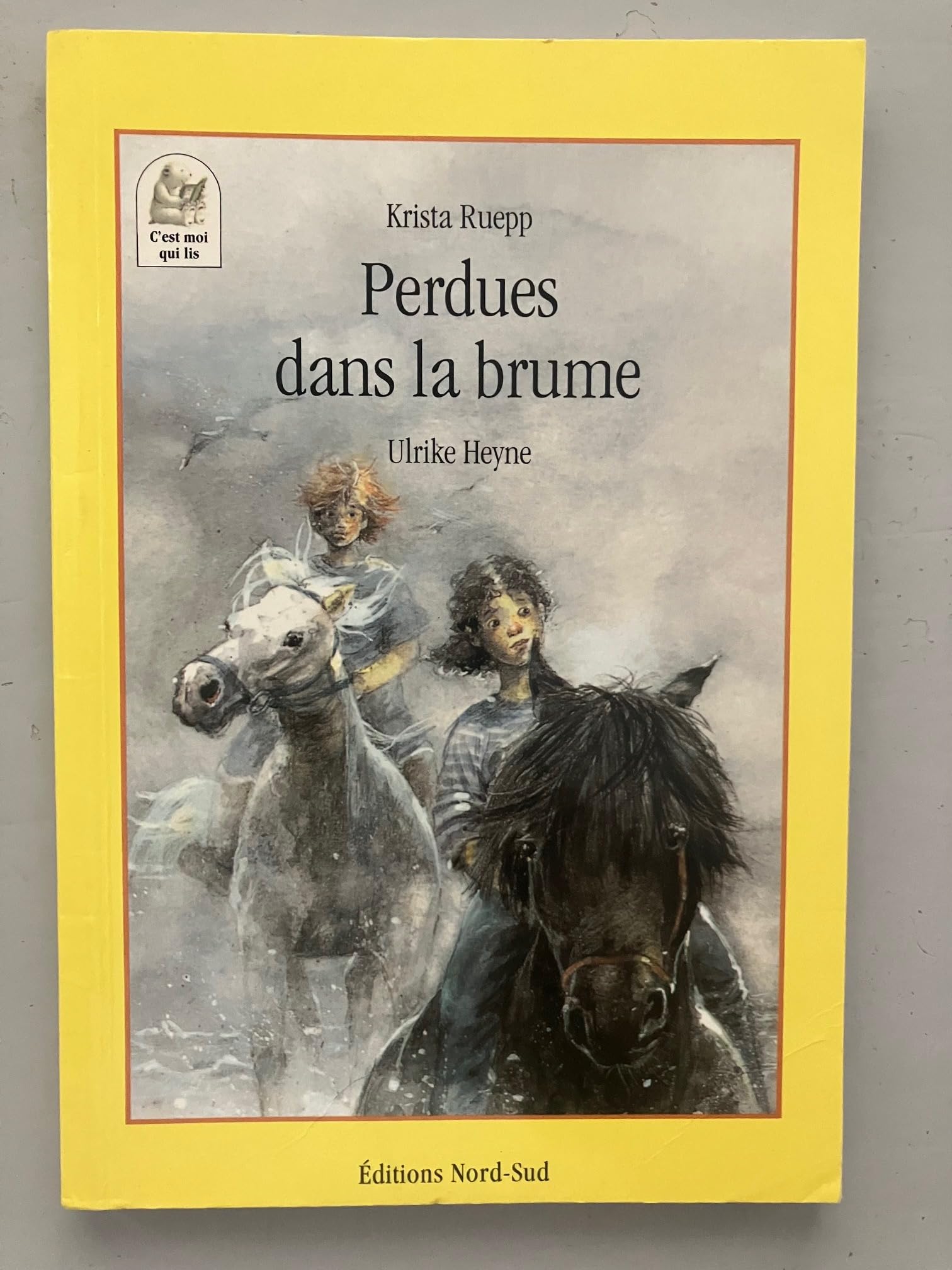 Perdues dans la Brume / Krista Ruepp / Ulrike Heyne book