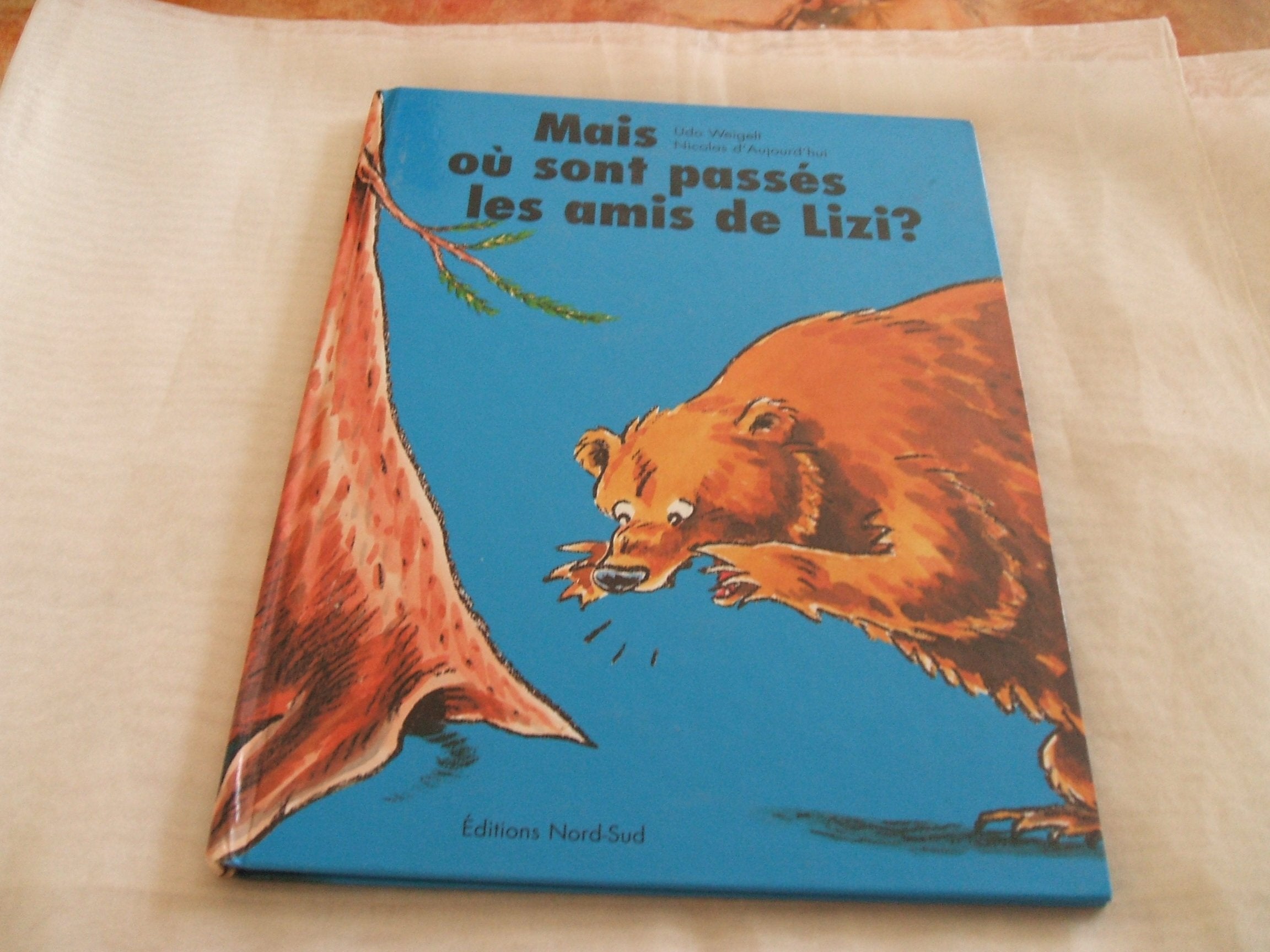 Mais où sont passés les amis de Lizi ? book