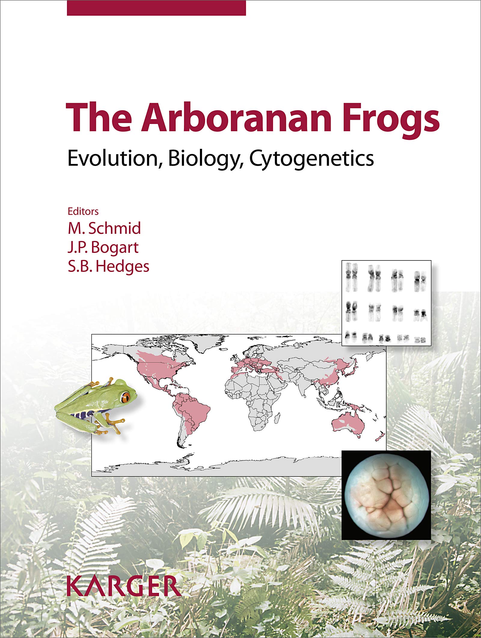 The Arboranan Frogs: Evolution, Biology, Cytogenetics. Reprint of: Cytogenetic and Genome Research 2018, Vol. 155, No. 1-4 Medicine