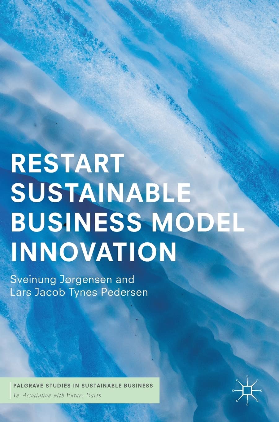 RESTART Sustainable Business Model Innovation (Palgrave Studies in Sustainable Business In Association with Future Earth) Law