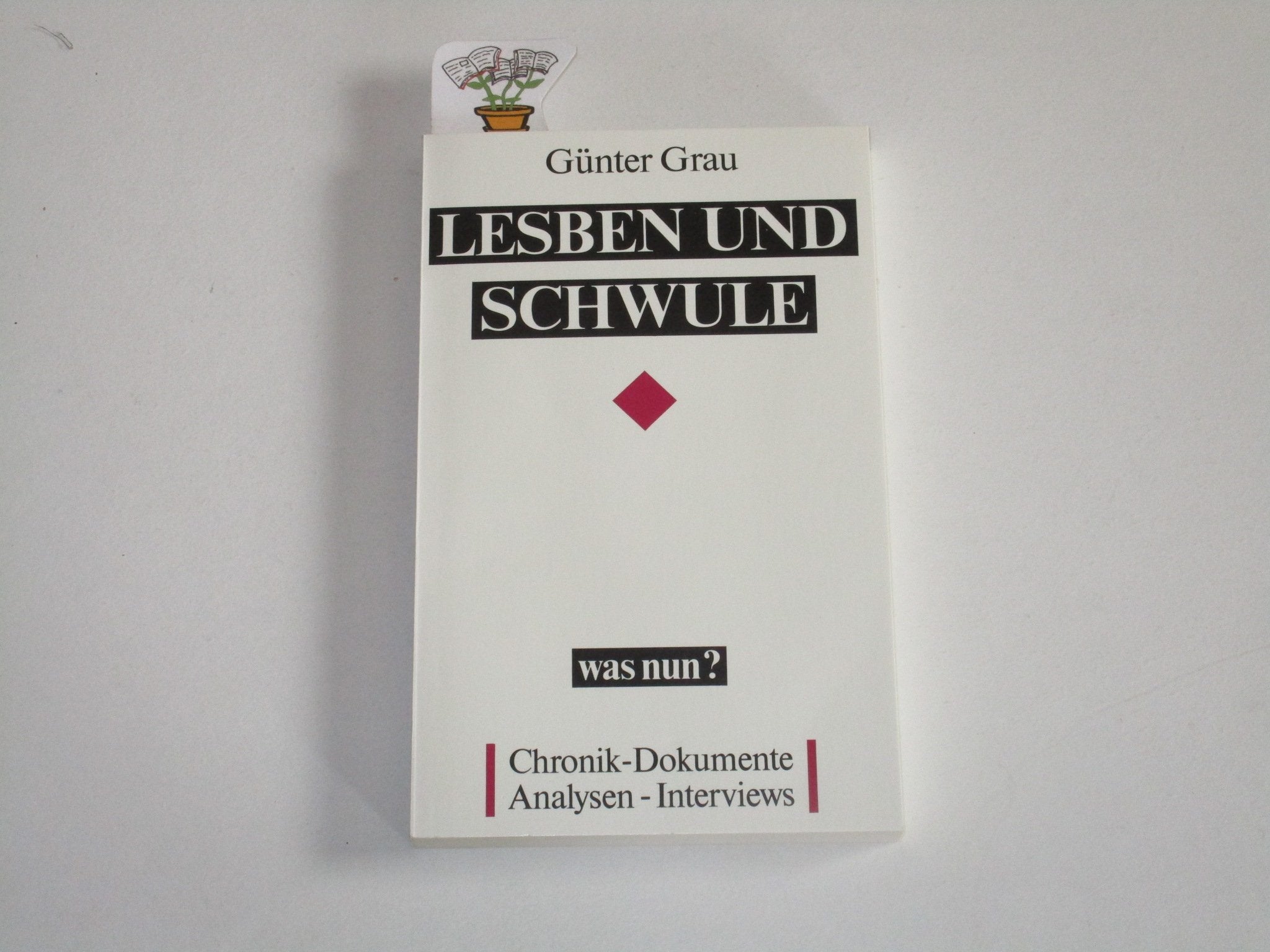Lesben und Schwule - was nun?. Frühjahr 1989 bis Frühjahr 1990. Chronik - Dokumente - Analysen - Inteviews Social Sciences