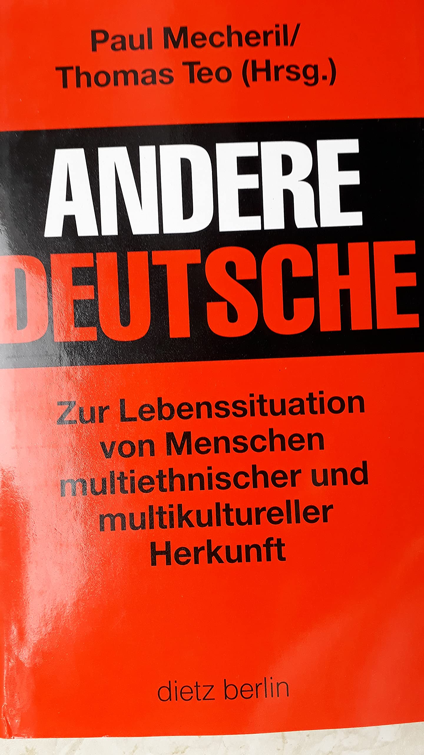 Andere Deutsche: Zur Lebenssituation von Menschen multiethnischer und multikultureller Herkunft Law