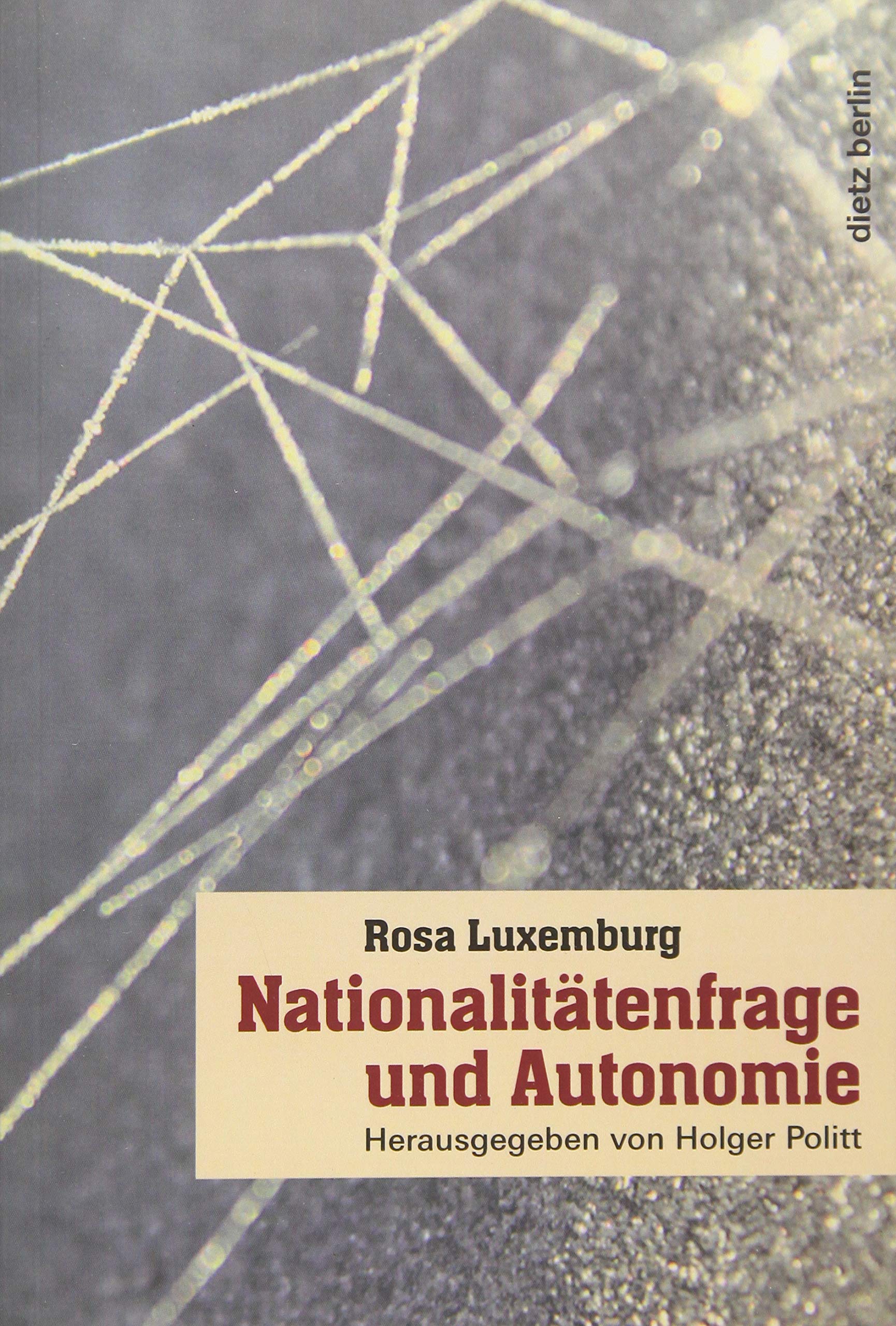 Nationalitätenfrage und Autonomie Law