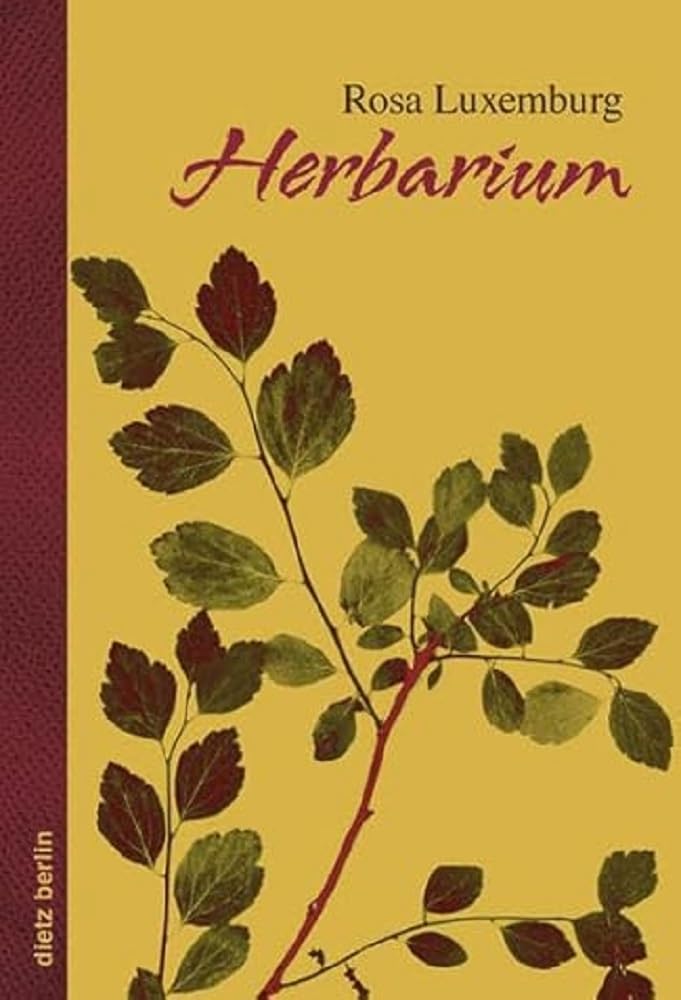 Product Image: Herbarium