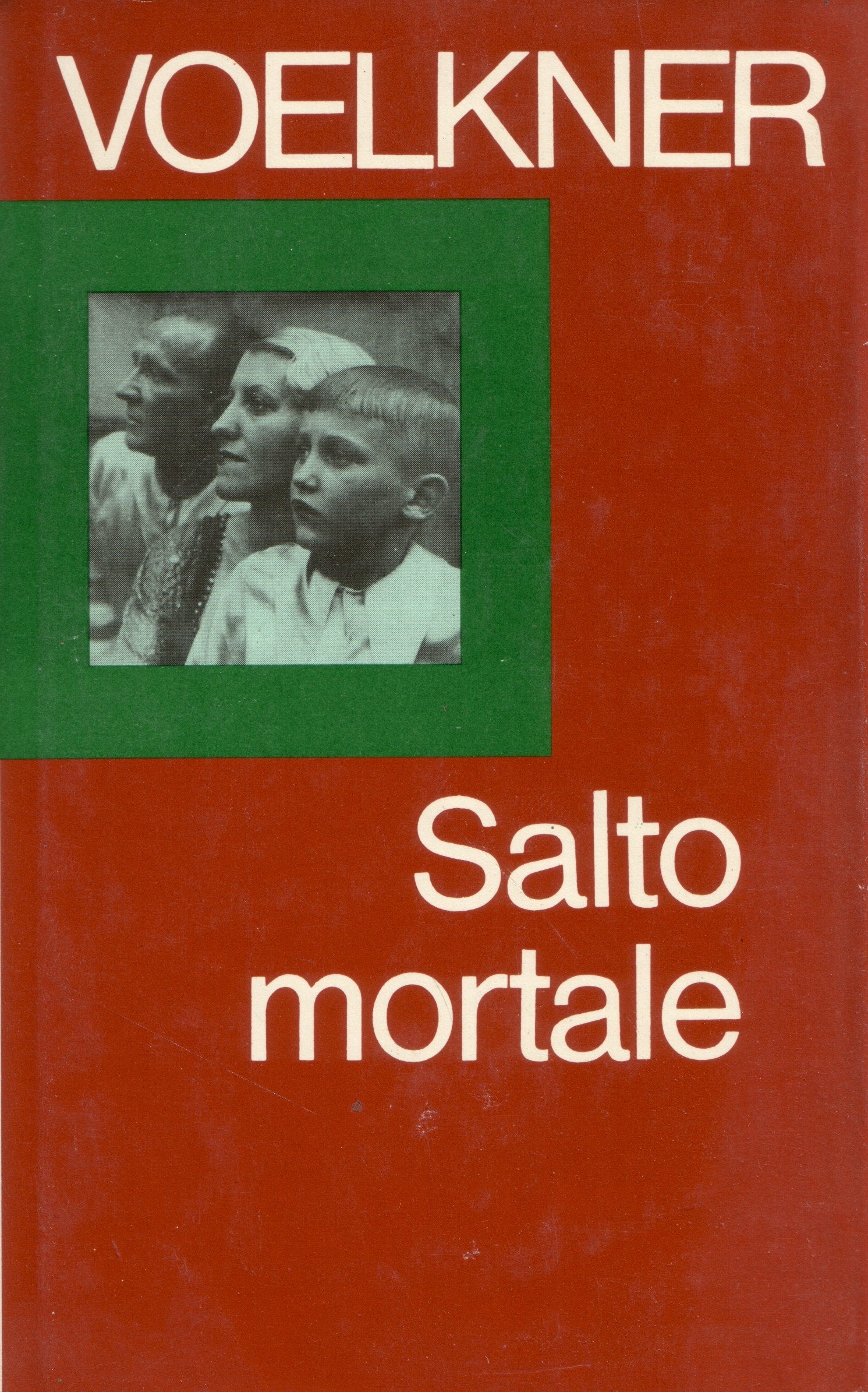Salto mortale. Vom Rampenlicht zur unsichtbaren Front Books