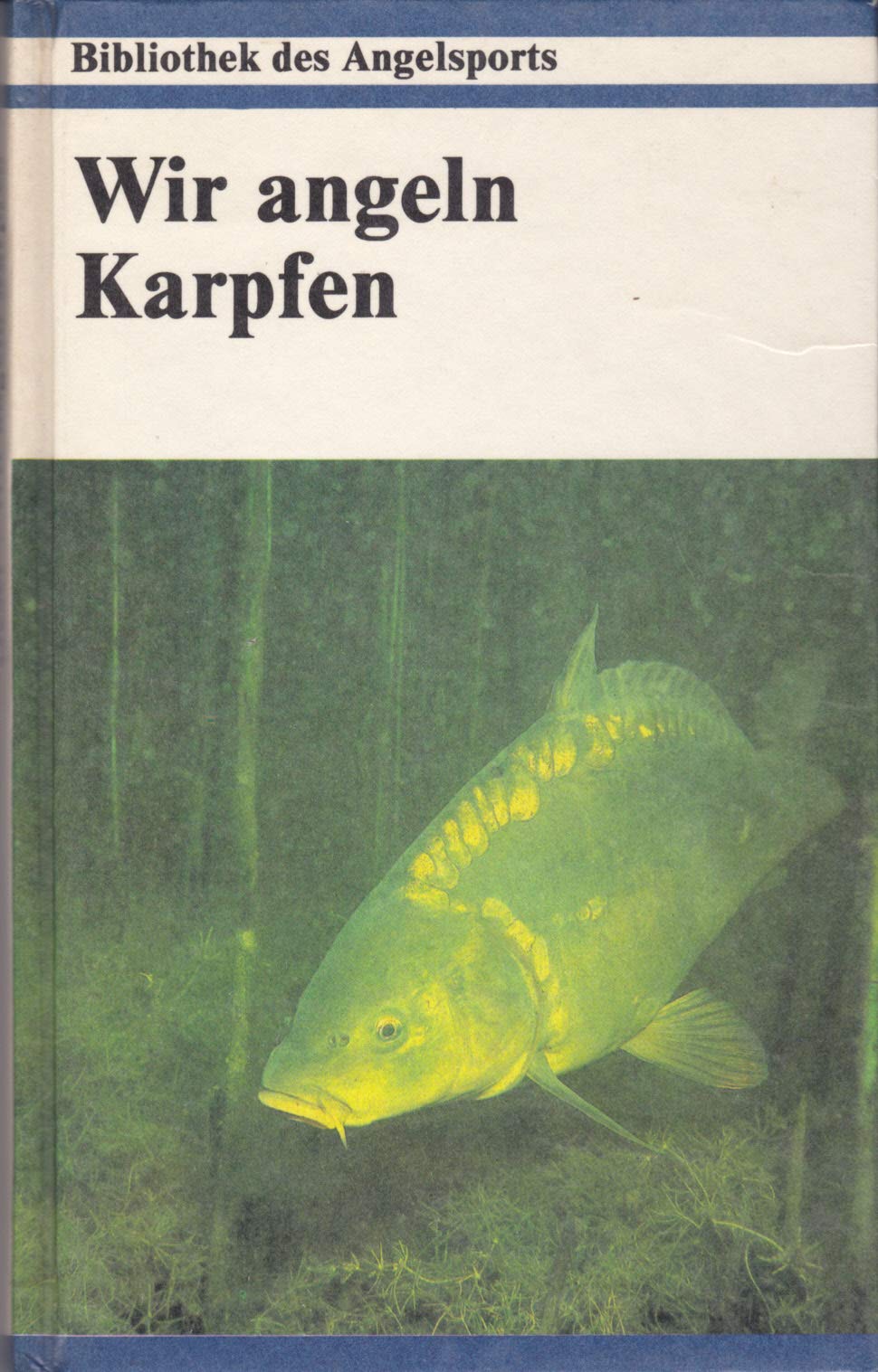 Wir angeln Karpfen. Leisure & Fun