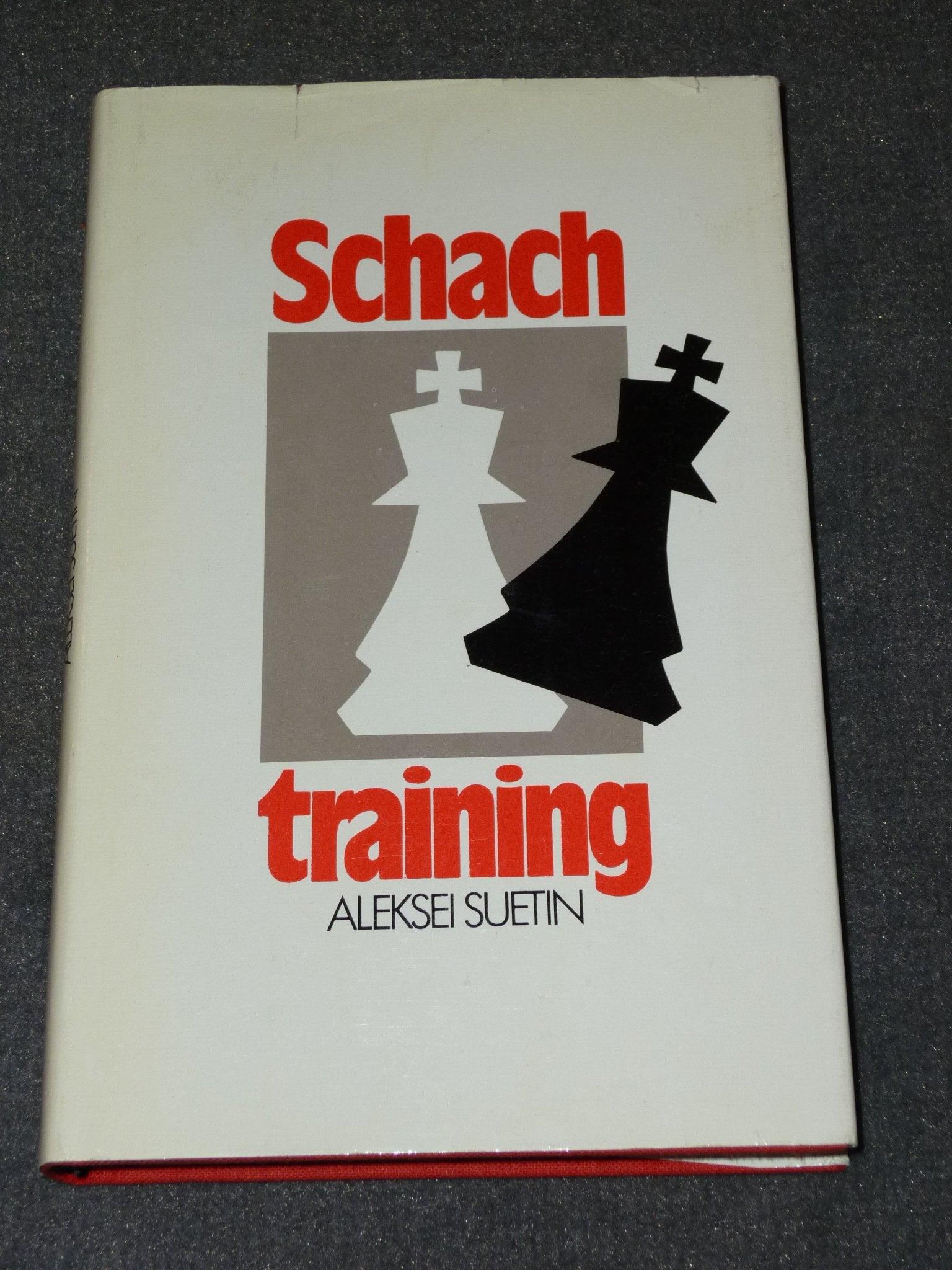 Schachtraining Leisure & Fun