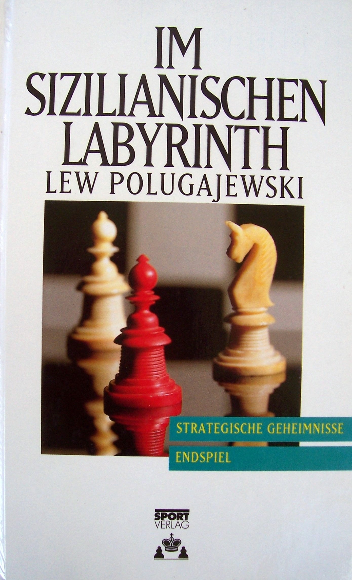 Im sizilianischen Labyrinth: Strategische Geheimnisse, Endspiel Leisure & Fun