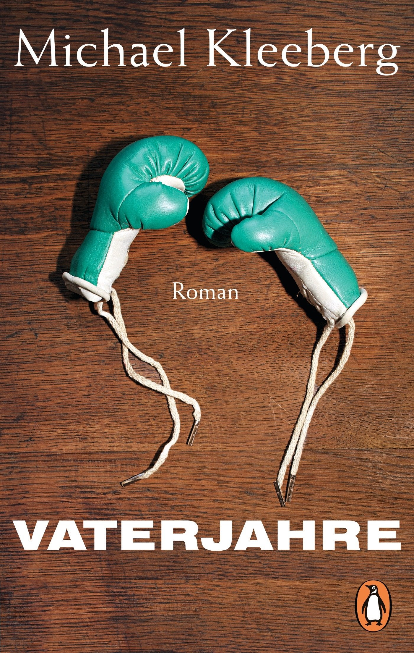 Vaterjahre Contemporary literature Books