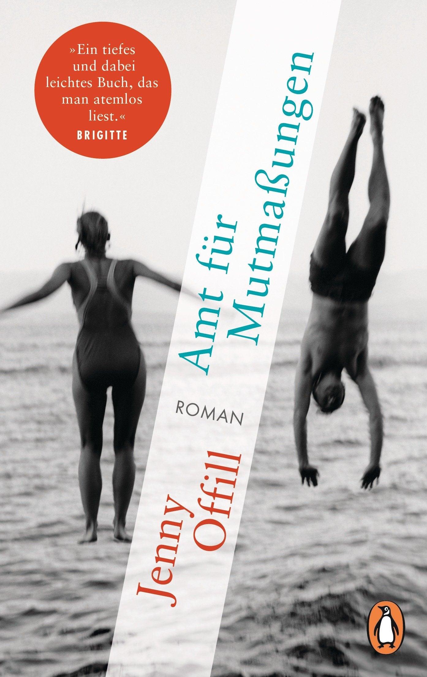 Amt für Mutmaßungen Contemporary literature