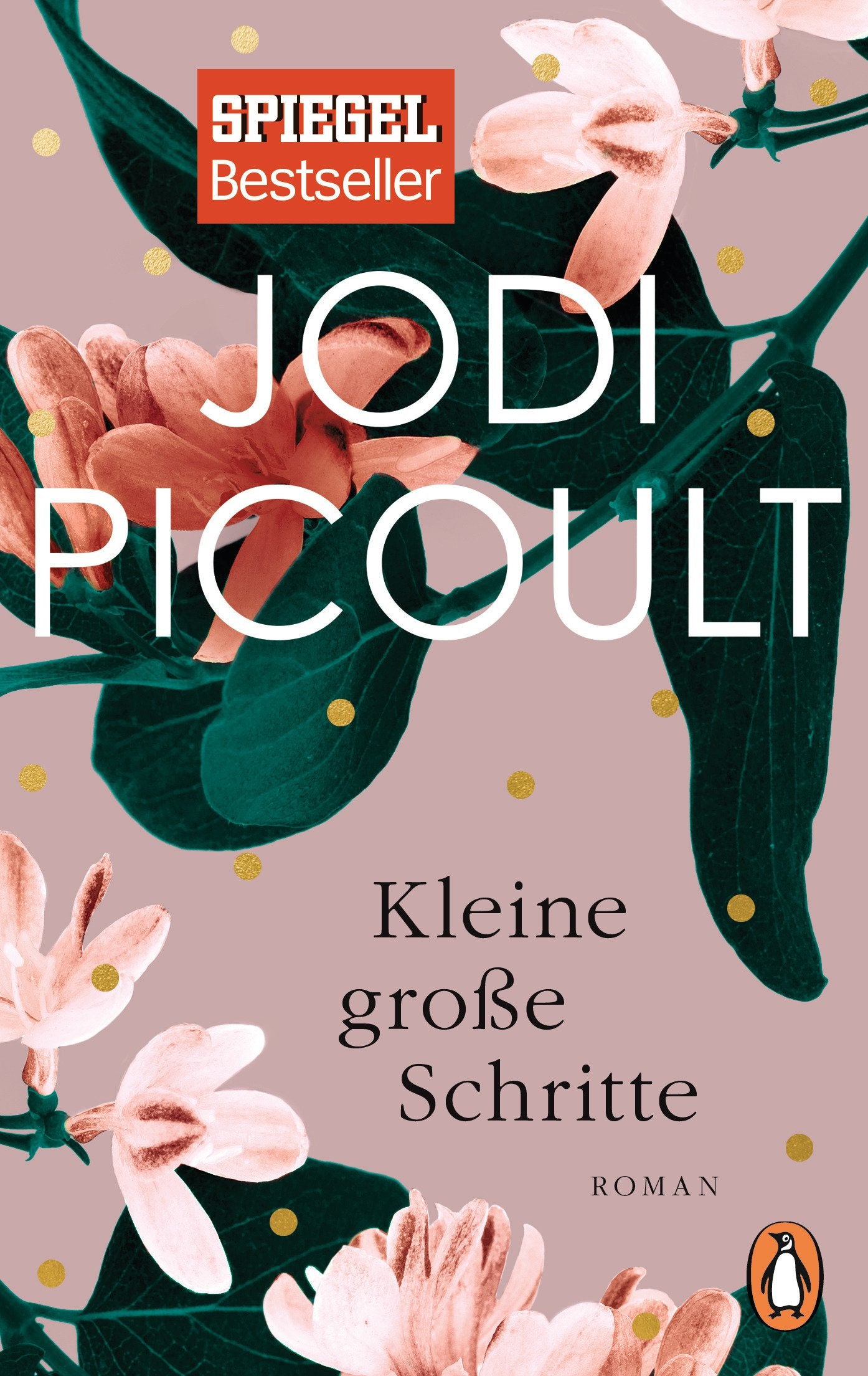 Kleine große Schritte Contemporary literature Books