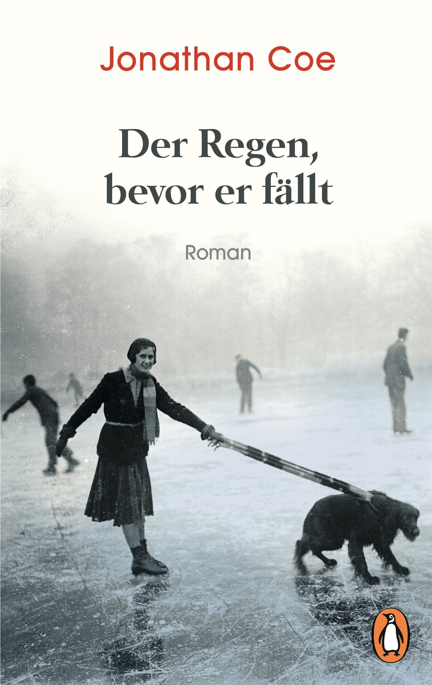 Der Regen, bevor er fällt Contemporary literature Books